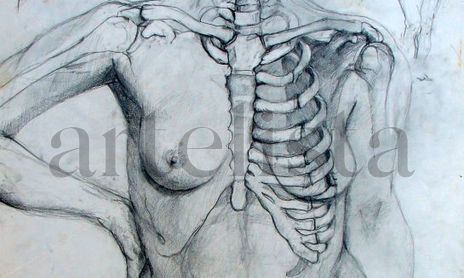 Cuaderno de Anatomia