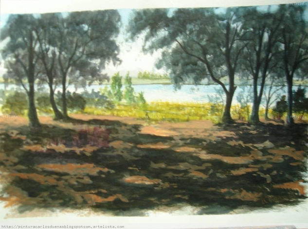 PENUMBRA EN LA CONCEJA Watercolour Paper Landscaping