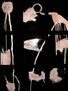 ALMA NEGRA LUZ BLANCA, CABEZA Y PENSAMIENTOS CUERPO