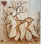 Venado