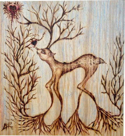 Venado