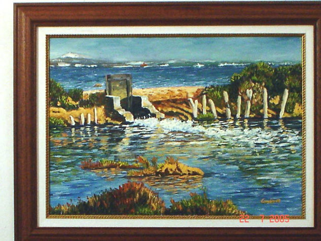 largadero,salinas de cadiz Oil Canvas Landscaping