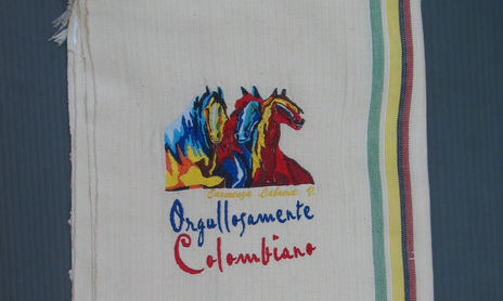 Bordados sobre ponchos