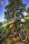 Copa Andalucia XC (circuito torrondo)
