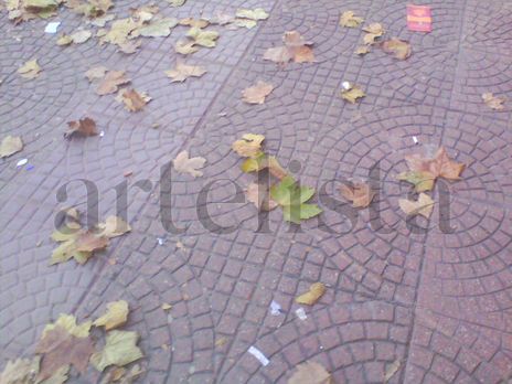 Hojas de otoño