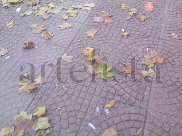 HOJAS DE OTOÑO
