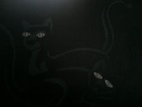 blackCats