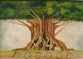 Baobab