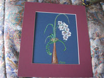 Orquídea blanca