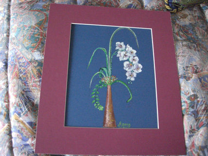 Orquídea blanca