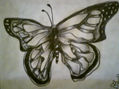 MARIPOSA