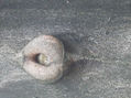 cosito de madera