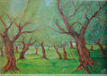 ENTRE ARBOLES
