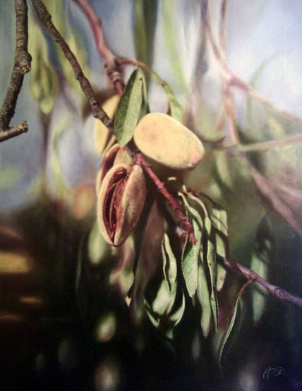 Naturaleza viva