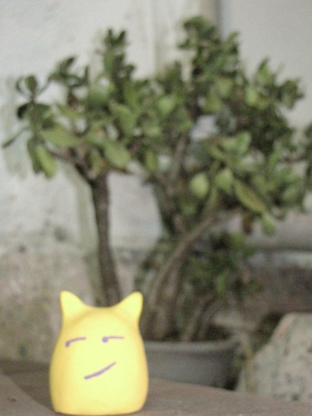 gato bipolar