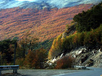 Otoño en la isla de...