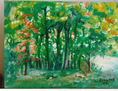 Paisaje