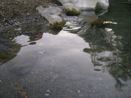 Reflejos del atardecer