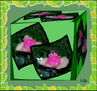 PERSPECTIVA DE COLORES 3
