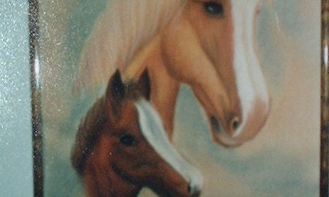 CABALLOS
