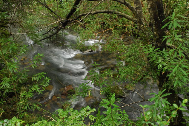 RIO LAS ROCAS 