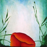 Flores thumbnail 2