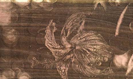 Fotografia gravada en madera