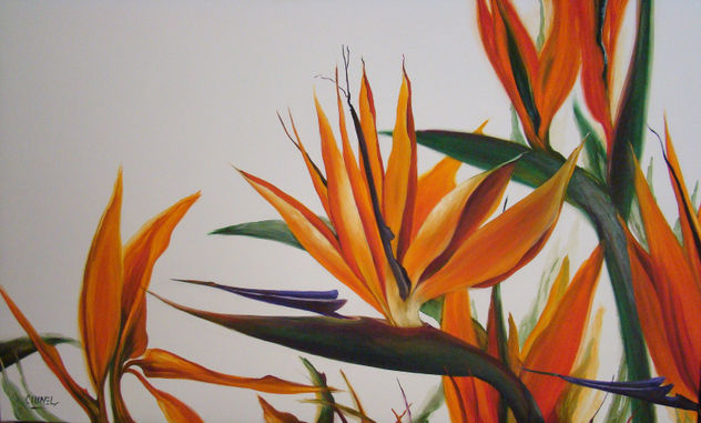 NATURALEZA VIVA