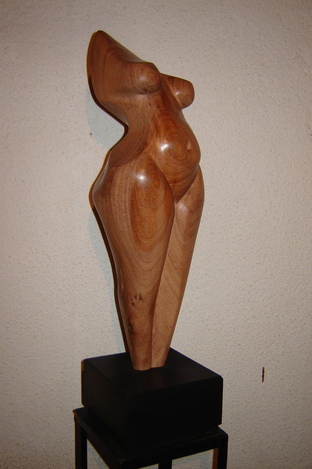 contornos