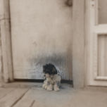 RETRATO DE VIDAS -  PORTRAIT OF LIVES thumbnail 2