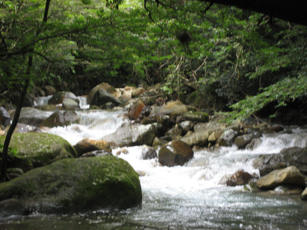 costa rica Naturaleza Color (Digital)