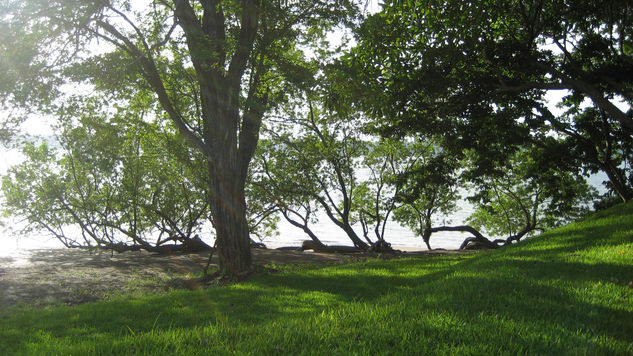 Hilton Papagayo Nature Color (Digital)