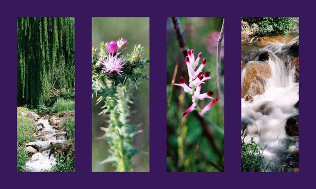 collage 13