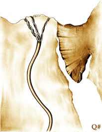 " EGIPTO:...