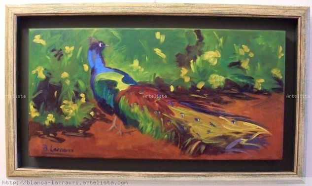 pavito Oil Canvas Animals