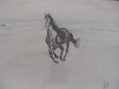 Corre libre! Boceto