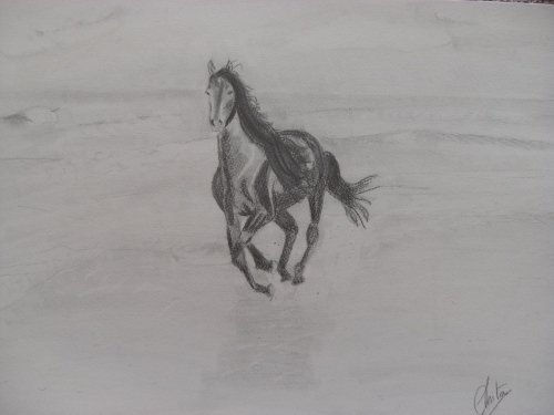 Corre libre! Boceto Charcoal