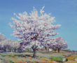 Almendro en flor