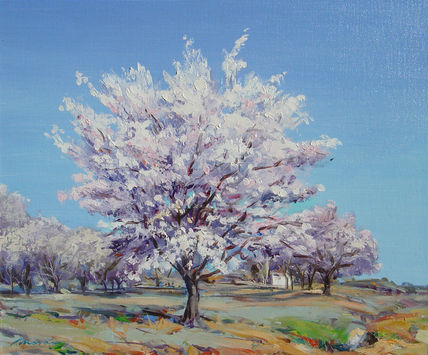 Almendro en flor