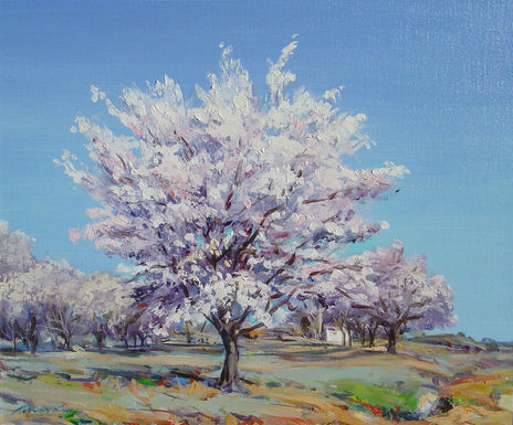Almendro en flor