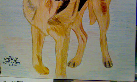 DIBUJOS 33x24