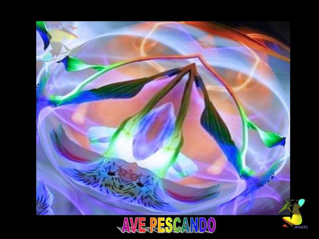 ave pescando