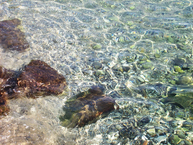 El mar que besa las rocas 