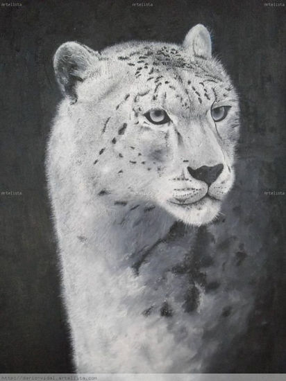 Leopardo de las nieves Oil Canvas Animals