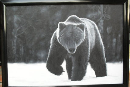 Oso