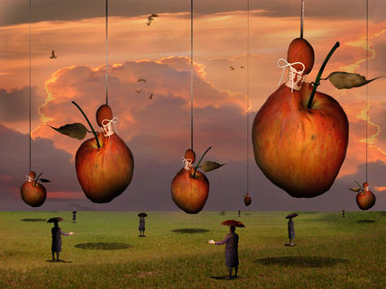 O Campo das Maçãs...