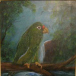 Animales thumbnail 1