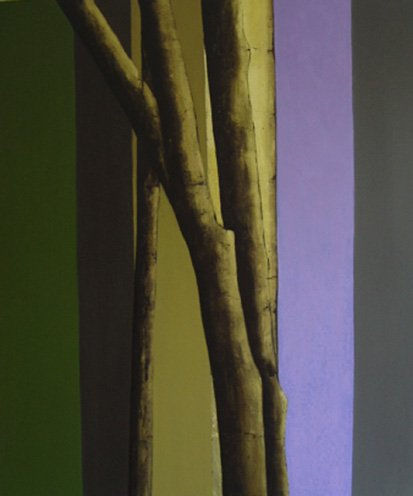 jacarandas