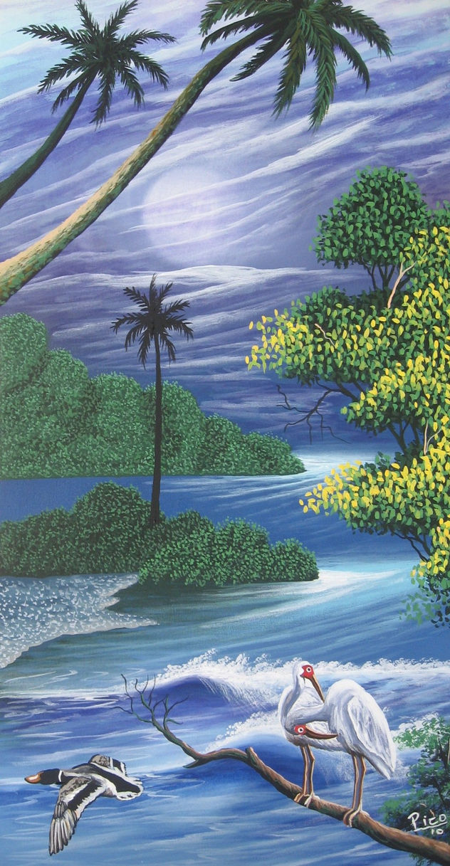 ISLA DEL COCO.COSTA RICA