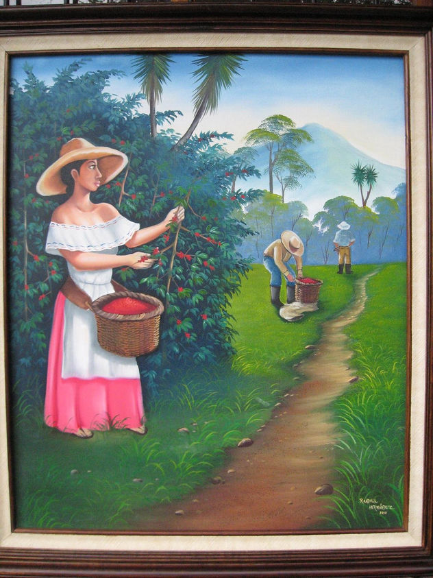 recogiendo café